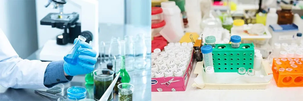 application of PETG bottles 500ml