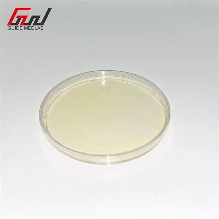 2 disposable plastic petri dish 100mm