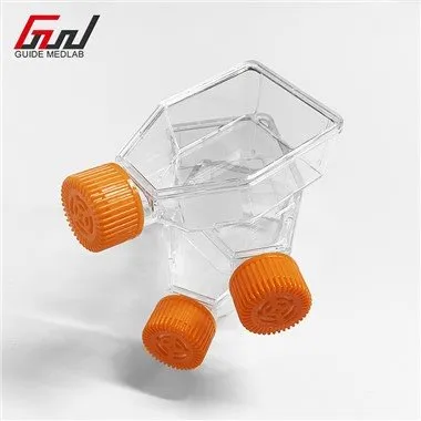 Fleascán Buidéal Cultúir Cille